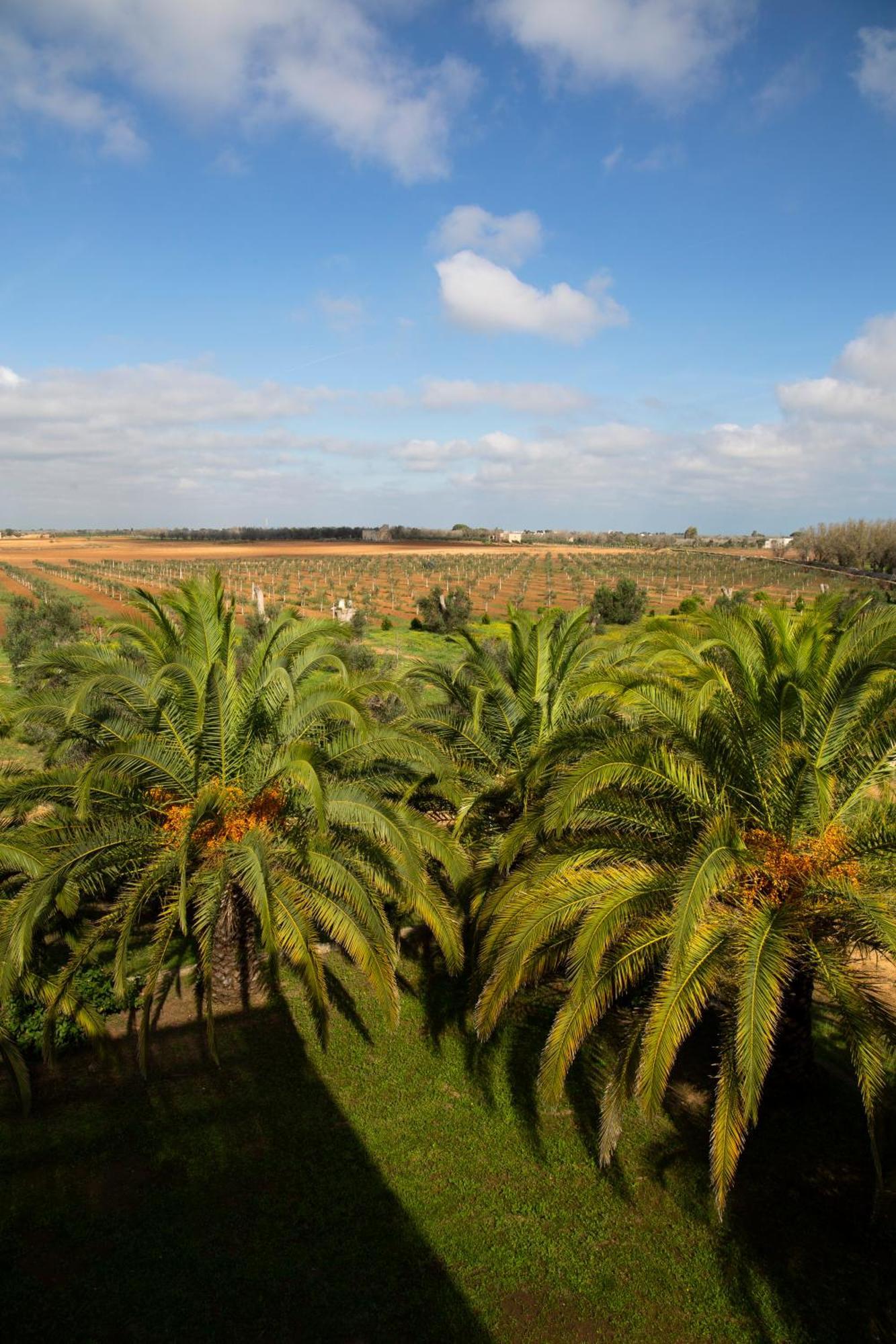 Tenuta Afra Squinzano Esterno foto