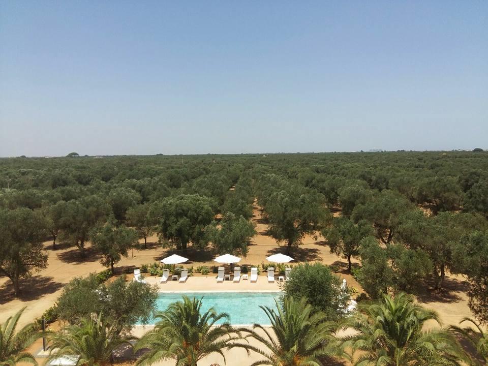 Tenuta Afra Squinzano Esterno foto
